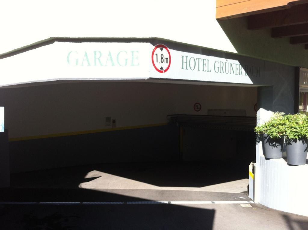 Hotel Gruener Baum Τσελ αμ Ζέε Εξωτερικό φωτογραφία