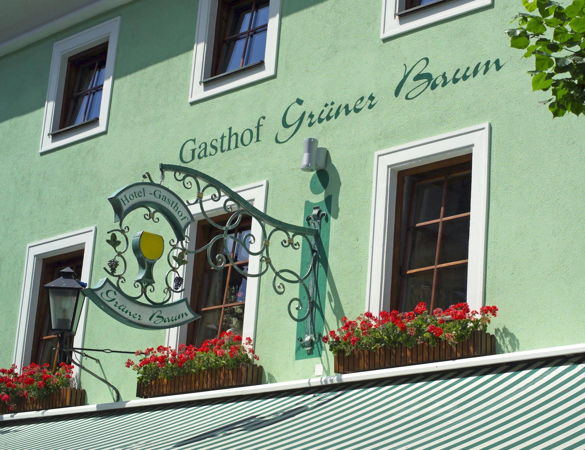Hotel Gruener Baum Τσελ αμ Ζέε Εξωτερικό φωτογραφία